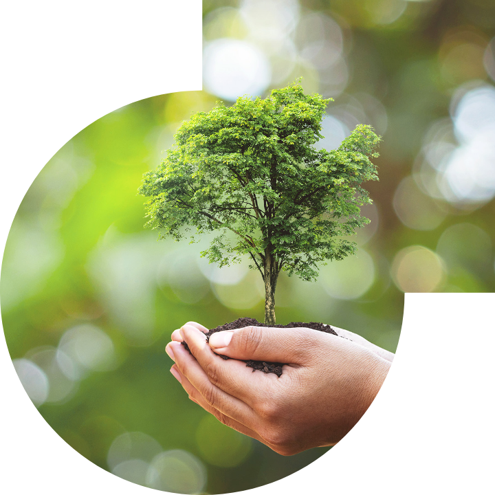 关怀人类、文化、环境与社会